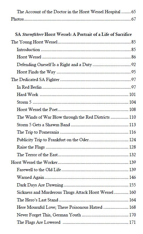 Die Fahne Hoch: Three Biographies of Horst Wessel